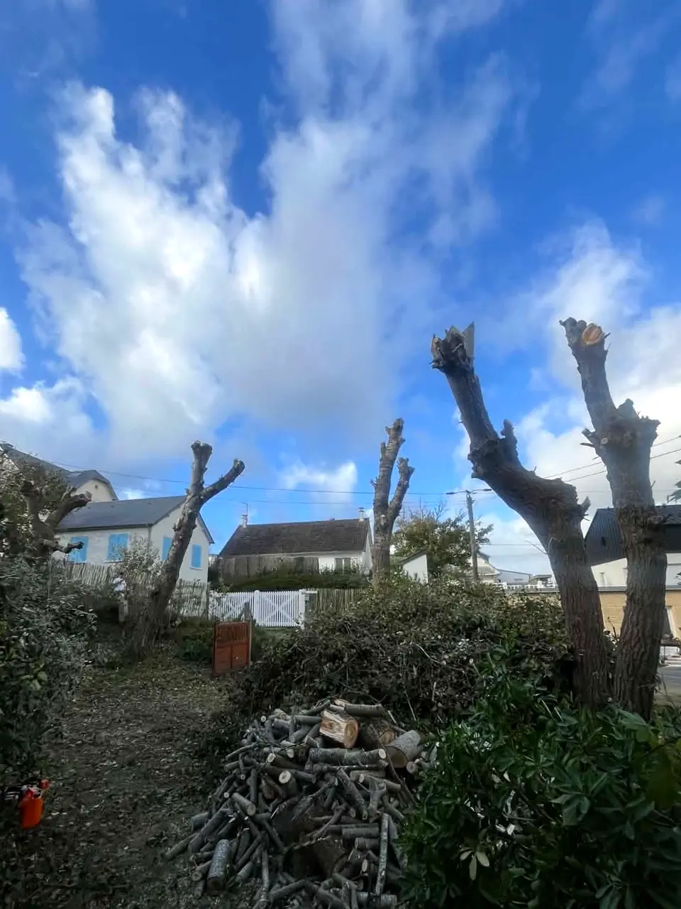 Après : fond de jardin dégagé après élagage, bois coupé rangé