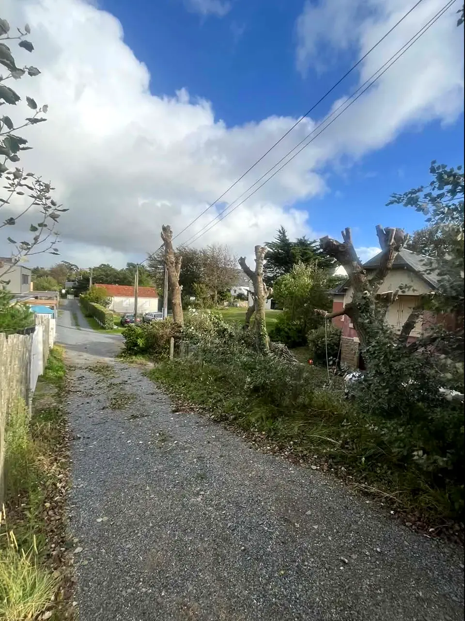 Après : chemin dégagé après élagage